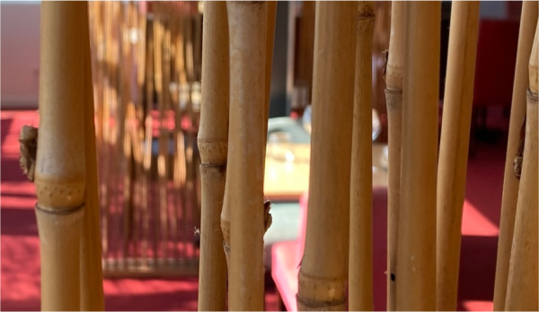 La Cave-O-Delices - restaurant MONTAUBAN - meilleur restaurant MONTAUBAN