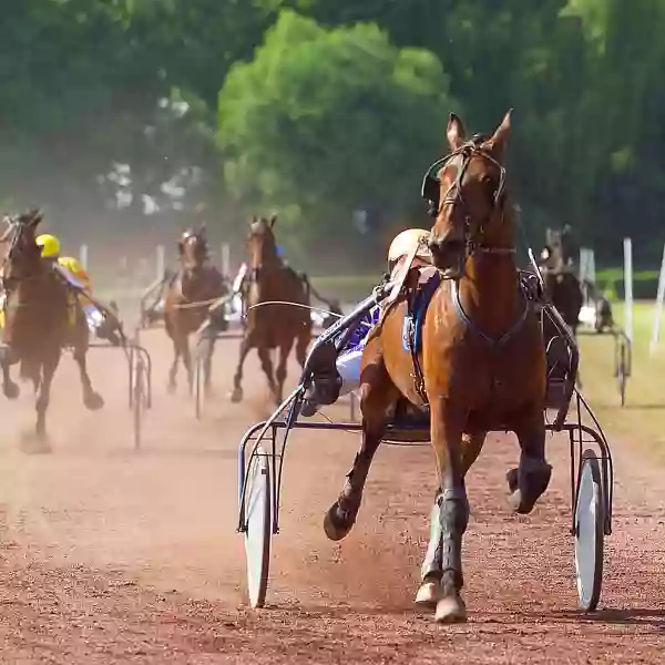 Actualités - La Cave-O-Delices - Hippodrome de Montauban - restaurant MONTAUBAN - top resto MONTAUBAN